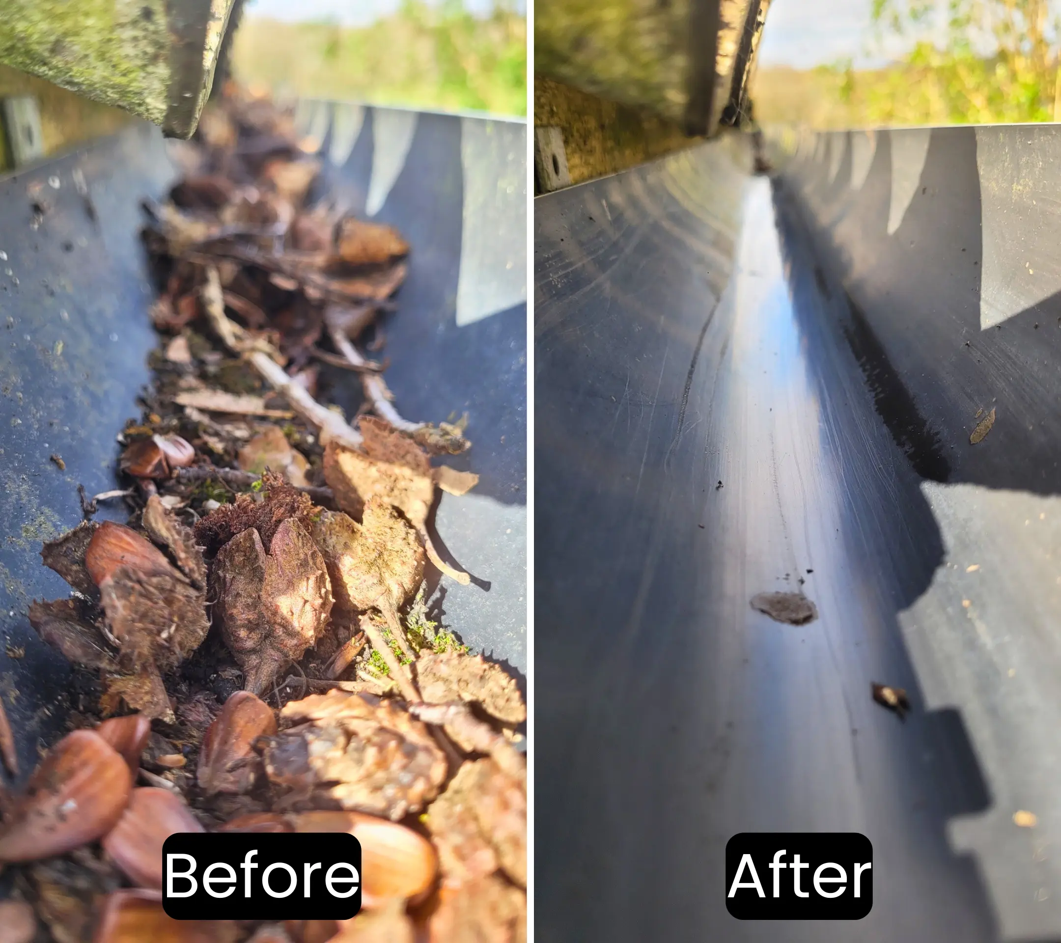 Gutter cleaning in Kemptown